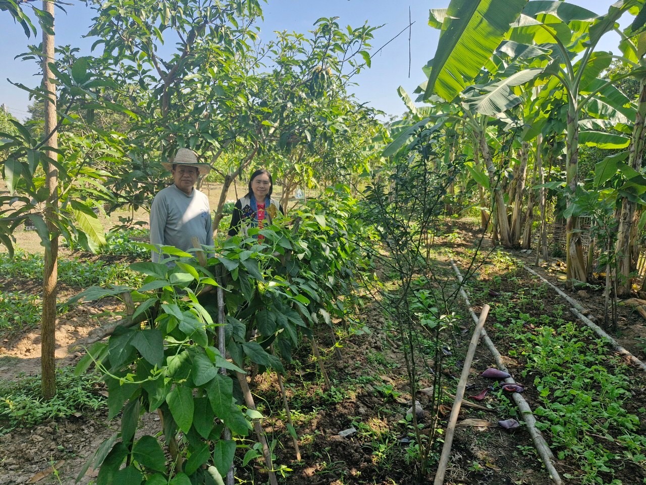 พช.ดอยหล่อ : ติดตามสนับสนุนการขับเคลื่อนศูนย์เรียนรู้ โคก หนอง นา นายเฉลิม ปันชัย